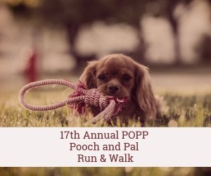 17th annual popp pooch and pal race